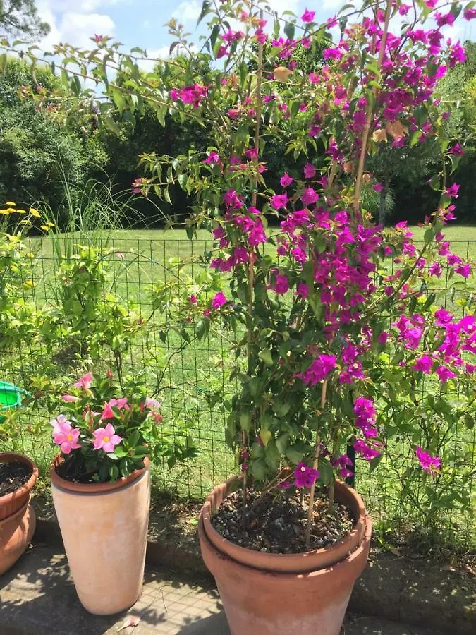 Bed & Breakfast B&B La Villa Mediterranea Passirano